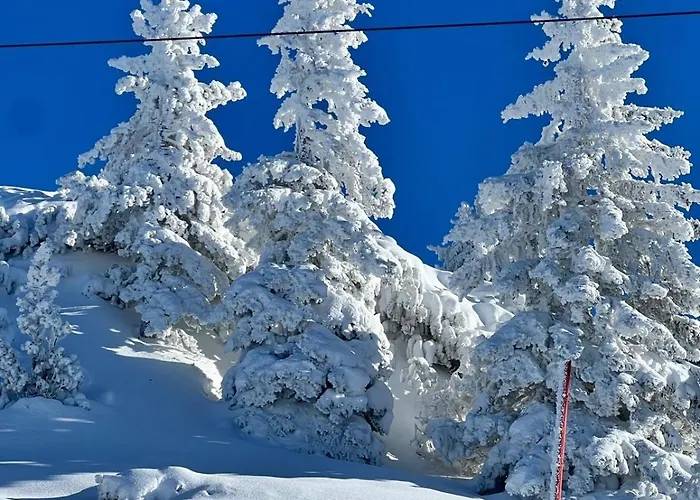 Silbermond Apartment Schladming