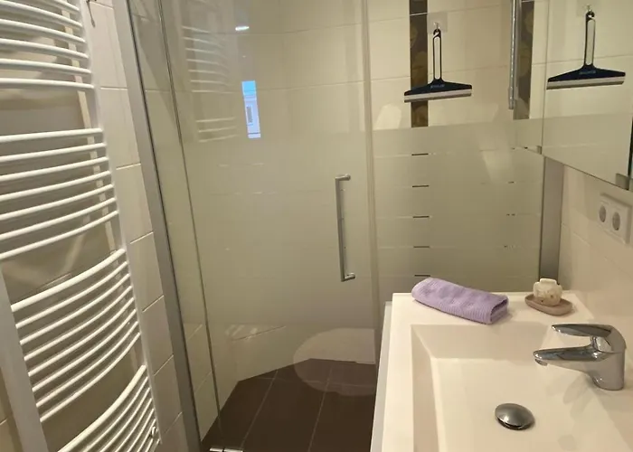 Silbermond Apartment Schladming